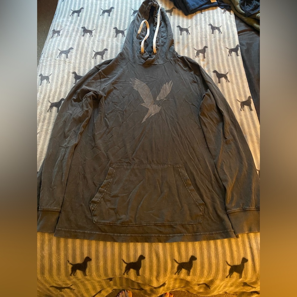 Men’s American Eagle Hoodie